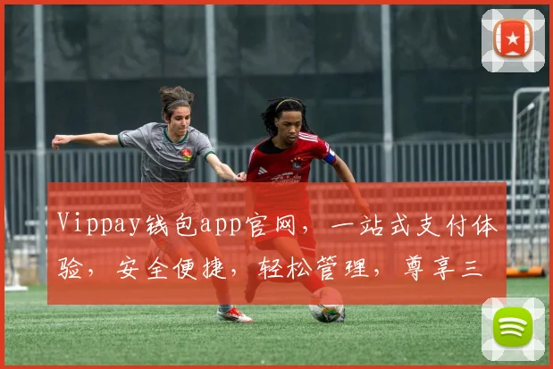 Vippay钱包app官网，一站式支付体验，安全便捷，轻松管理，尊享三重优惠，立即下载