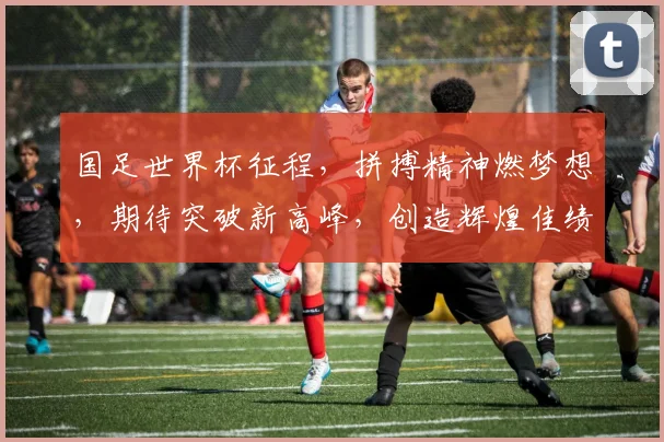 国足世界杯征程，拼搏精神燃梦想，期待突破新高峰，创造辉煌佳绩。