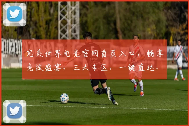 完美世界电竞官网首页入口，畅享竞技盛宴，三大专区，一键直达，体验非凡