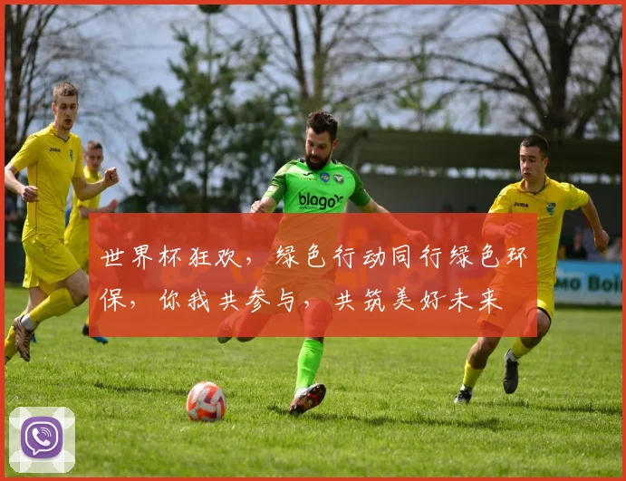 世界杯狂欢，绿色行动同行绿色环保，你我共参与，共筑美好未来