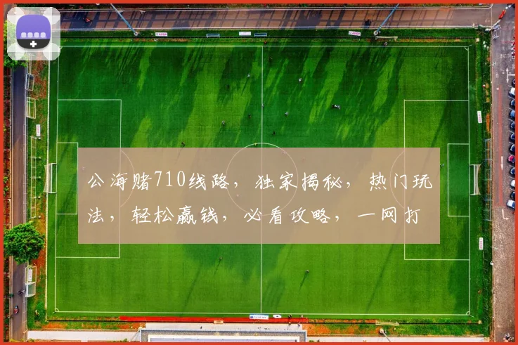 公海赌710线路，独家揭秘，热门玩法，轻松赢钱，必看攻略，一网打尽
